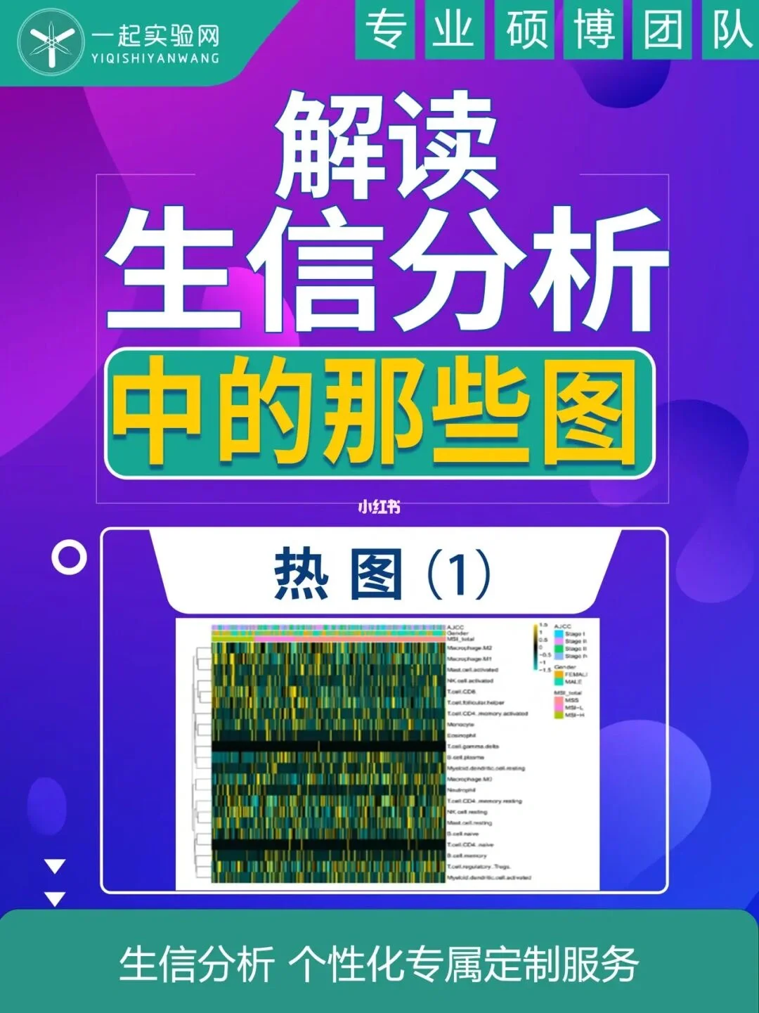 2024：如何分析数字信息的解读方式