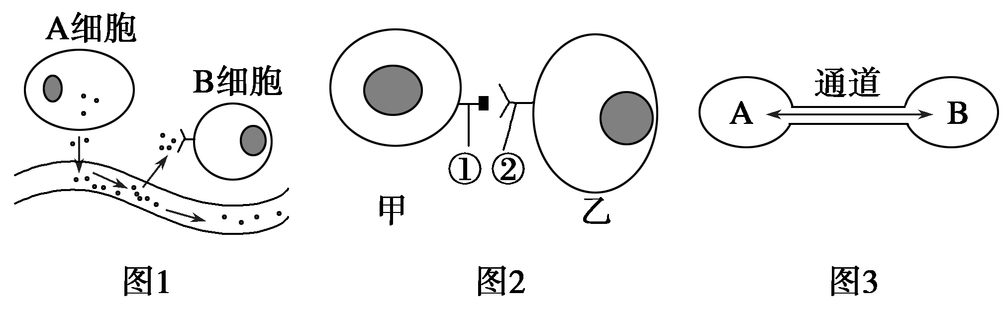 b体育官网_网络信息交流平台的内容传播路径如何分析